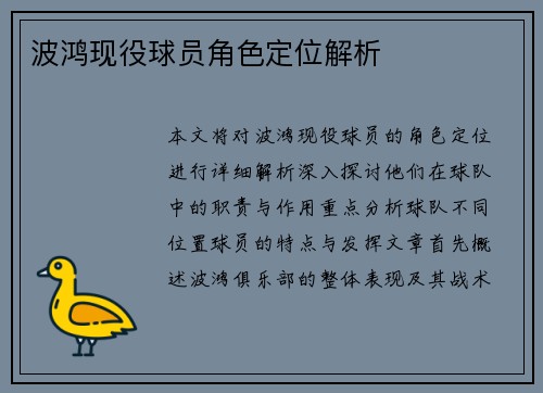波鸿现役球员角色定位解析